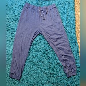 Women's Blue Pants Size 5x